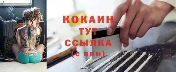 сатива Баксан