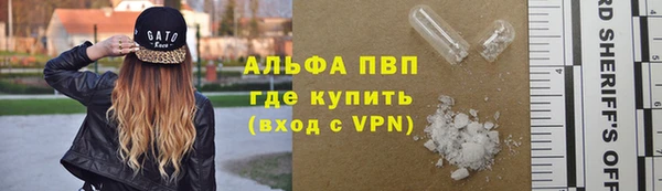 сатива Баксан