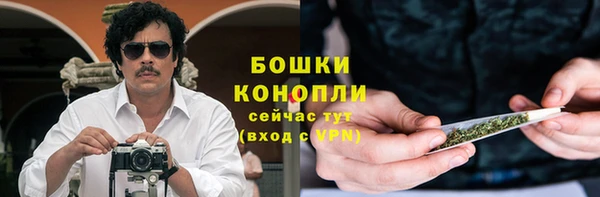 сатива Баксан