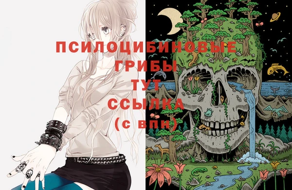 сатива Баксан