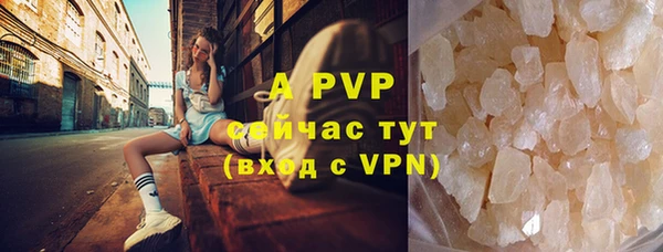ПСИЛОЦИБИНОВЫЕ ГРИБЫ Белоозёрский