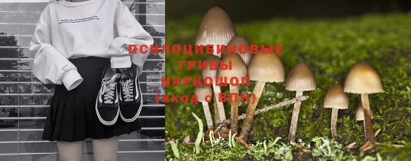дмт Белокуриха
