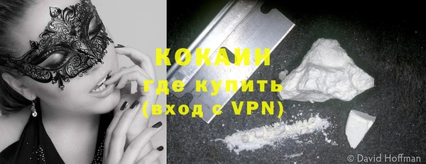 сатива Баксан